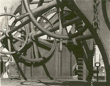 A Specific Theory of the Boson Universe and Application